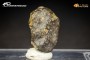 Meteorite - Condrite H5